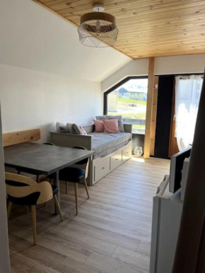 Studio aux pieds des pistes